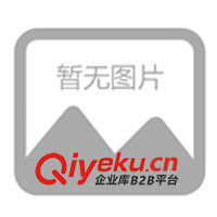 供應(yīng)開關(guān)電源充電器,充電器,電池充電器(圖)